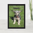 Search for thank you for your kindness Thanks