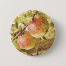 Search for apple tree badges Apples