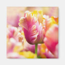 Search for spring bulbs magnets Garden