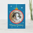 Search for cat photo christmas cards Snowflakes