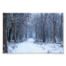 Search for scottish landscape posters Scenery