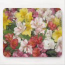 Search for amaryllis mousepads Floral