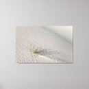 Search for isolate art Abstract