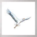 Search for stork posters Wildlife