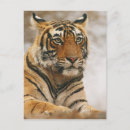 Search for threatening postcards Endangered
