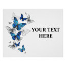 Search for blue butterfly illustration posters Butterflies
