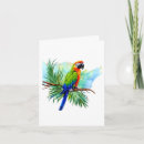 Search for macaw birthday cards Birds