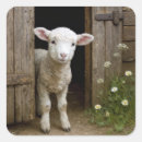 Search for spring lamb stickers Farm