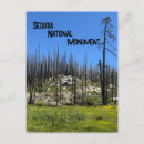 Search for national monument postcards Redwood