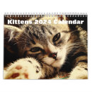 Search for feline calendars Domestic