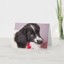 Search for springer spaniel christmas cards Santa