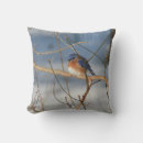 Search for bluebird cushions Animal
