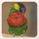 Search for bright colour coasters Party