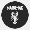 Search for lobsters stickers Maine lobster