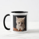Search for baby cats mugs Orange cat