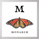 Search for monarchs posters Beautiful