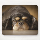 Search for cav mousepads Charles