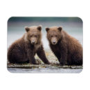 Search for two animals magnets Animals in the wild