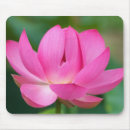 Search for joanne mousepads Flora