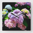 Search for garden clocks Hydrangeas