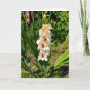 Search for gladiolus flowers cards Garden