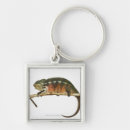 Search for madagascar key rings Reptile
