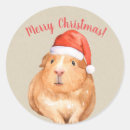 Search for hamsters stickers Watercolor