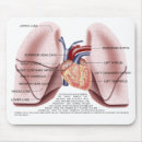 Search for lungs mousepads Organ