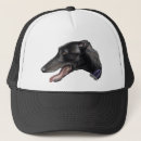 Search for greyhound hats Dog