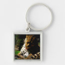 Search for leopard square key rings Big cat