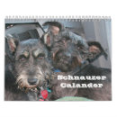 Search for donation calendars Rescue