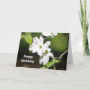 Search for cornus Flowers