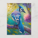 Search for blue jay bird postcards Birder