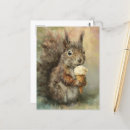 Search for funny wildlife postcards Squirrel