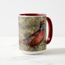 Search for pheasants mugs Phasianus colchicus