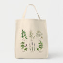 Search for basile bags Herb