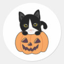 Search for sweet pumpkin stickers Halloween