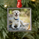 Search for yellow labrador christmas tree decorations Cute