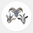 Search for funny goat stickers Farm