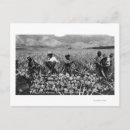Search for picks postcards Black
