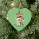 Search for funny cat christmas tree decorations Santa