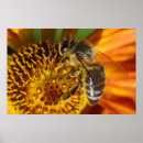 Search for api posters Nectar