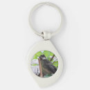 Search for my key rings Bird