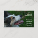Search for tri business cards Australian shepherd