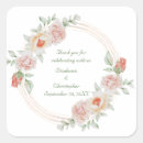 Search for peach roses stickers Botanical