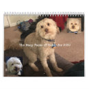 Search for silly calendars Dog