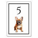 Search for dogs table cards Dog dad