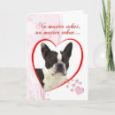 Search for boston terrier valentines day cards Pet