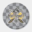 Search for quidditch magnets Wizard