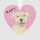 Search for american staffordshire terrier christmas tree decorations Pitbull